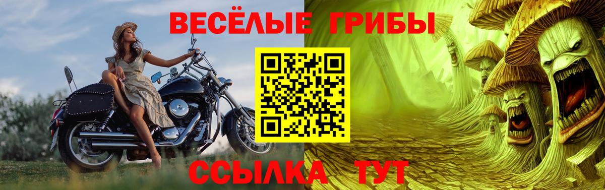 Псилоцибиновые грибы Psilocybine cubensis Тюмень