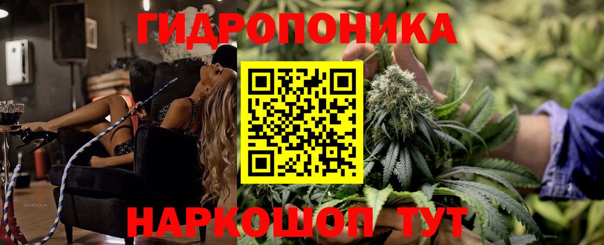 Канабис White Widow  Марихуана план  Тюмень  Вход с VPN 